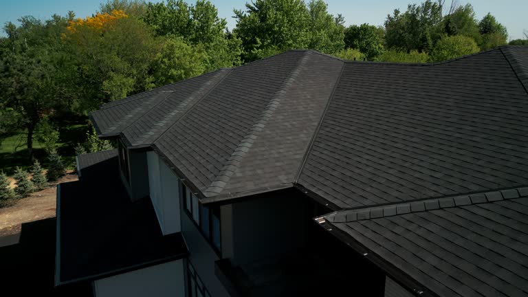 Best Solar Panel Roofing Installation  in Archbald, PA