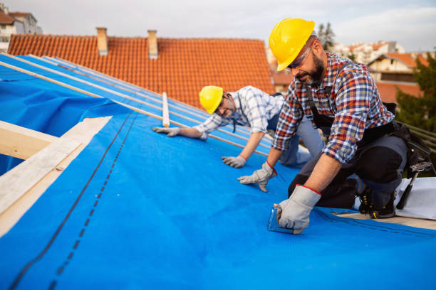 Best Roof Insulation Installation  in Archbald, PA